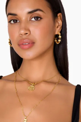 14K Gold Dipped Crunchy Hoops