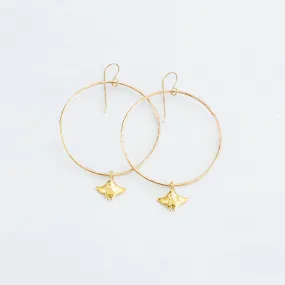 Large Raydiance Hoops